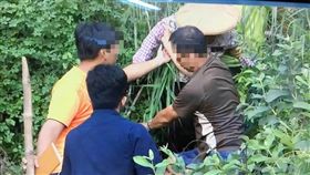 魔神仔,採粽葉,迷途,苗栗