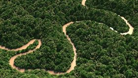 亞馬遜雨林。
（圖／翻攝自維基百科）