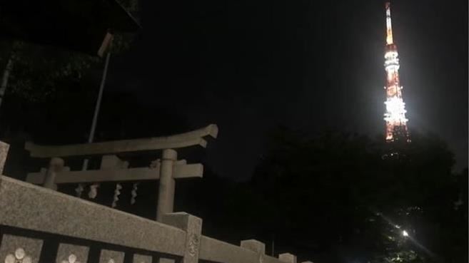 東京鐵塔最好晚上別去！超毛原因曝光