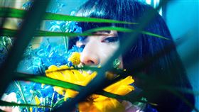  majiko (Welcome Music提供)