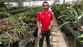 台灣,洪信介,港警,獵人,植物