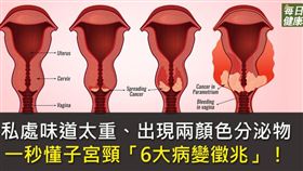 名家專用／每日健康（勿用）