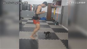 ▲直接正面對決。（圖／Julio e Eu - Lang Striker　授權）