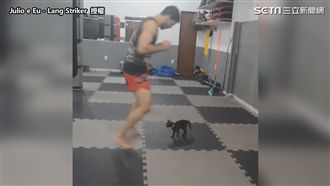 小黑貓一發威　鏟屎官秒落跑