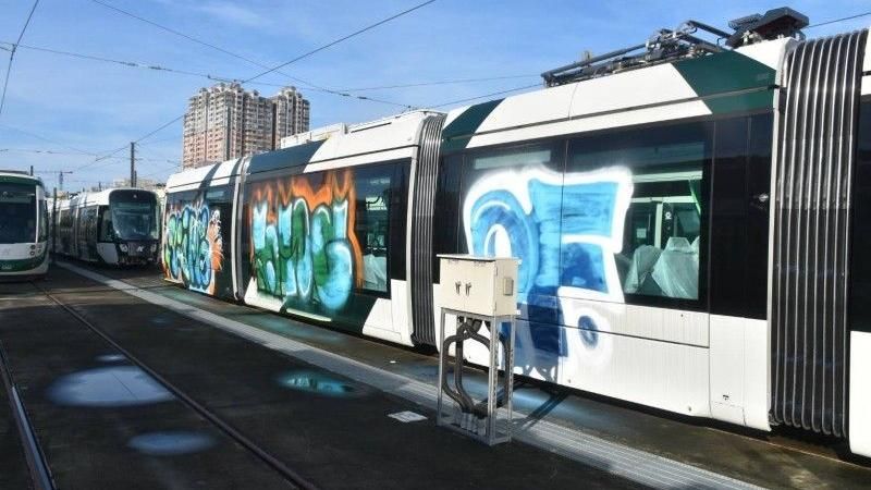 輕軌車廂遭塗鴉　竟是19歲屁孩幹的