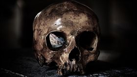 幽靈 鬼 靈異 骷髏頭 示意圖 /pixabay