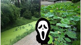 高雄,美術館,荷花池,韓國瑜（圖／翻攝PTT）