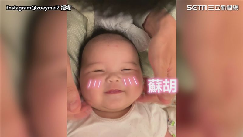 把拔牌馬殺雞　萌娃「蘇胡」到笑眯眯