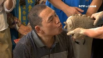 林明溱嗆不幫韓就退黨 侯:專心市政