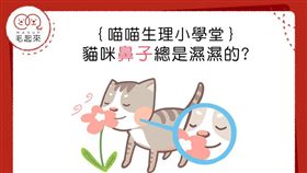 名家專用／毛起來MAOUP（勿用）
