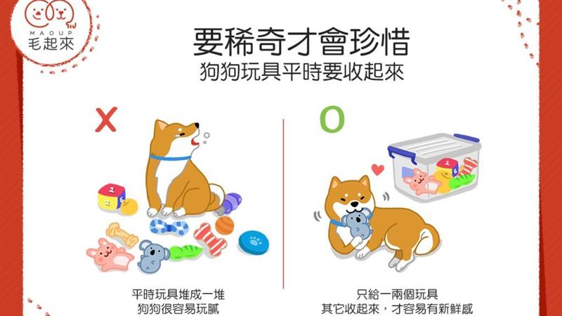 狗狗對玩具不屑一顧？快試試這祕訣！