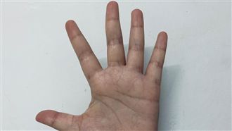 神準！五種手形　揭開內心真實個性