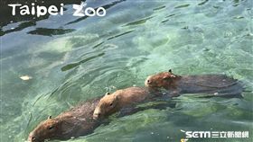 台北市立動物園