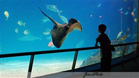 業配、廠商提供、勿用