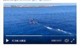 義大利,慈善救援船,移民,跳海,受困