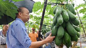 韓國瑜、木瓜　圖／高雄市政府提供