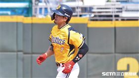 ▲ 中信兄弟張志豪。（圖／記者王怡翔攝影）