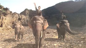 楊麗花（圖片提供：麗生百合）