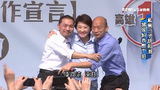 藍營三子分裂？燕子、漢子狂迴避