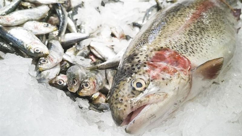 魚身上這「3部位」　多吃一口都有害