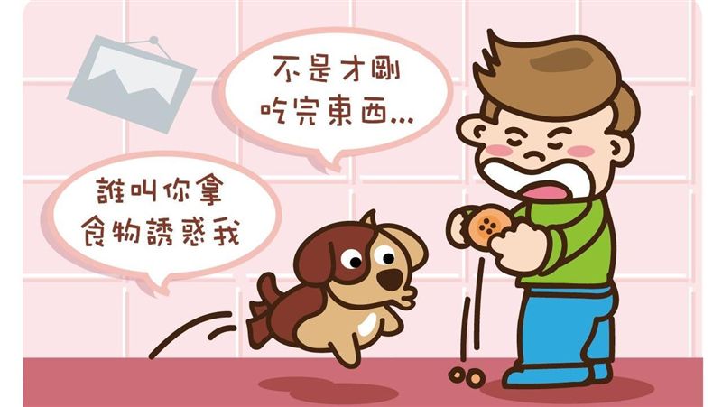 為什麼？剛吃飽還是盯著你的飯