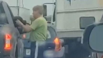 塞車時他下車寵狗狗　車怒族暖心笑了