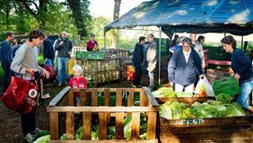 荷蘭,共享,農場,自給自足,農作物