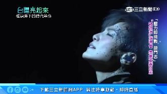 力挺港雨傘運動！何韻詩付出慘痛代價