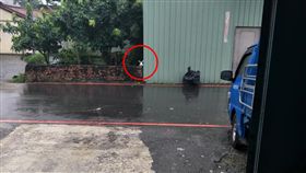 垃圾,兔子,爆怨公社,看錯,下雨,馬路