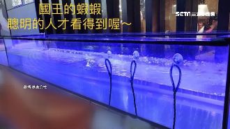 流水蝦吃到飽？顧客控45分鐘等嘸蝦