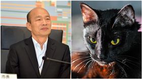韓國瑜,九命怪貓（合成圖／Pixabay、韓國瑜臉書）