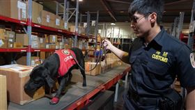 緝毒犬,查緝毒品,走私毒品,攔截,立功(圖/財政部關務署提供)中央社