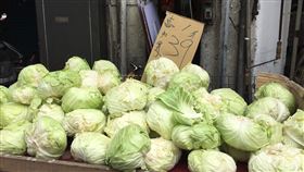 台北果菜批發市場,蔬菜交易,高麗菜,菜價,受影響(圖/中央社)