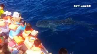 秋冬旅遊補助！老牌飯店超殺0元入住