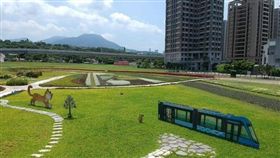 淡水稼日蒔光基地夏日花海 輕軌站前打卡新亮點。(圖/新北市政府)