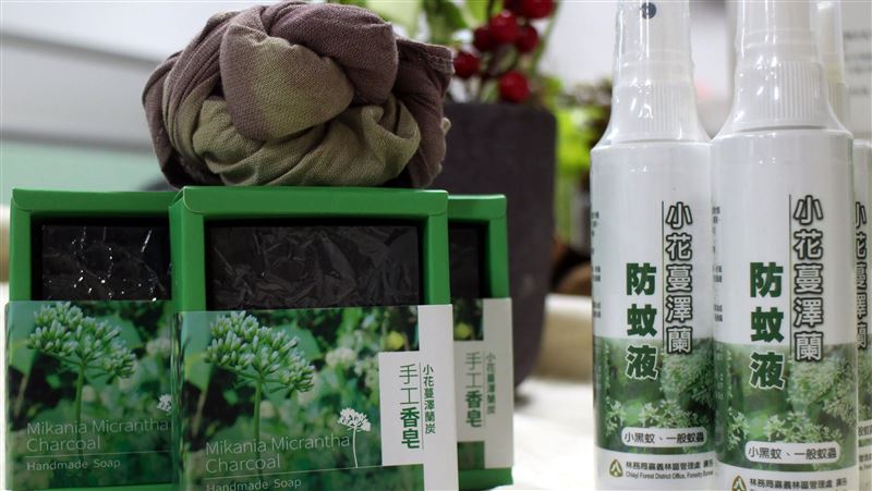 移除小花蔓澤蘭　多元利用製成防蚊液