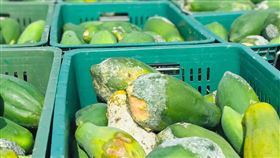 南投縣,埔里,雨災,農委會,補助(圖/埔里鎮公所提供)中央社