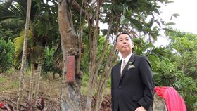 台東縣,百年咖啡樹,日本,柴田裕,尋根(圖/中央社)