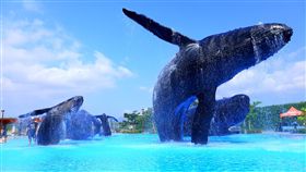 屏東墾丁海生館,遊樂園。（圖／樂天市場提供）
