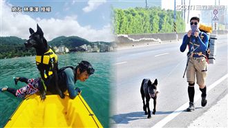 環島遇浪浪　他守諾言收編毛孩做家人