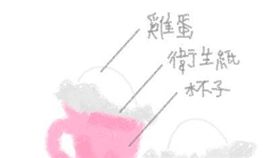 女網友圖說衛生紙孵小雞（圖／翻攝自Dcard）