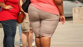 肥胖,軍人,調查,影響,朋友,美國,生活,傳染,同化, 圖／翻攝自Pixabay　https://goo.gl/UBMrqG