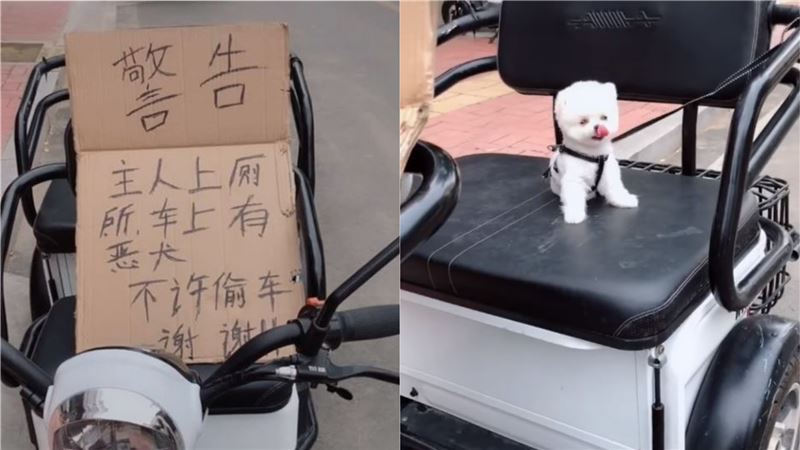 內有惡犬！主人派「牠」顧車　網笑翻