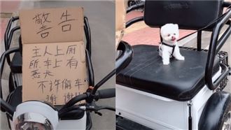 內有惡犬！主人派「牠」顧車　網笑翻