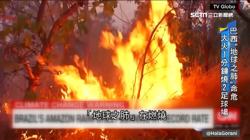 地球之肺命危！亞馬遜雨林大火燒不停