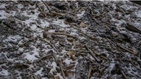 喜馬拉雅山,路普康湖,Roopkund Lake,骷髏湖,骸骨（圖／翻攝自推特）