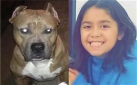  美國,女童,埃爾南德斯（Emma Valentina Hernandez）遭比特犬咬死（合成圖／翻攝自臉書、推特）