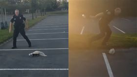 美國,員警,臭鼬,好心
https://www.facebook.com/watch/?ref=external&v=502065643930497