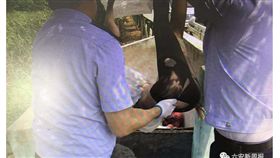 安徽,六安,分屍,充氣娃娃,棄屍