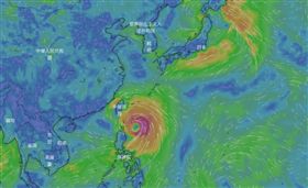 白鹿（圖／翻攝自天氣與氣候監測網）